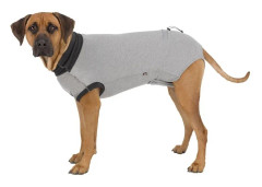 Skyddande body hund
