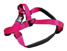 Bälte Extension Neonrosa - XXXXL