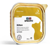 Kitten FPW Burkar