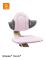 Stokke