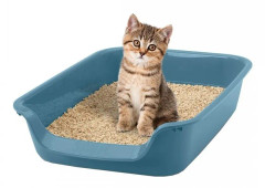Kattlåda JUNIOR BLUESTONE 56 X 39 X 13CM, katt och valp-savic 40 Blå