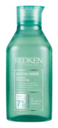 Rengöring schampo Redken Amino MInt (300 ml)