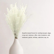 10 st konstgjorda grova Melic Herb Grass Bröllopsblombukett Heminredning (Vit)