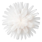 Adventsstjärna Snöblomma vit 44 cm