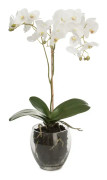 Konstgjord Phalaenopsis 65 cm