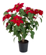 Mr Plant, Julstjärna 70 cm Röd