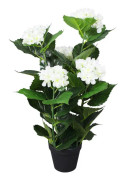 vidaXL Konstväxt Hortensia med kruka 60 cm vit