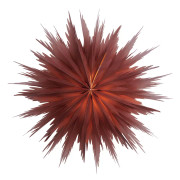 Watt & Veke Liz 50 Red Ochre