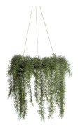 Mr Plant, Hängande julkrans