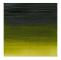 Prof Acrylic 200ML PERMANENT SAP GREEN 503