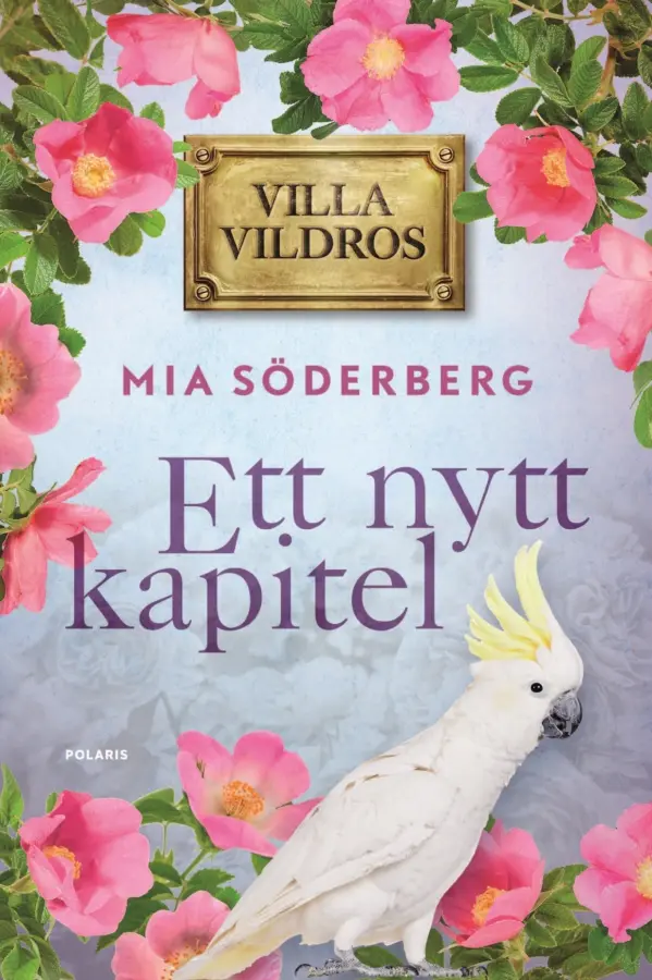 Ett nytt kapitel – E-bok