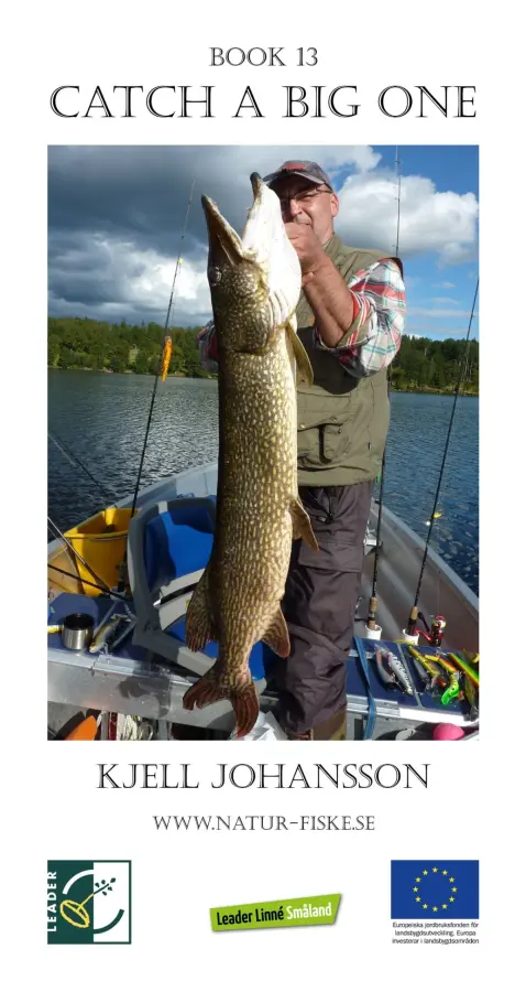 Catch a Big One – E-bok