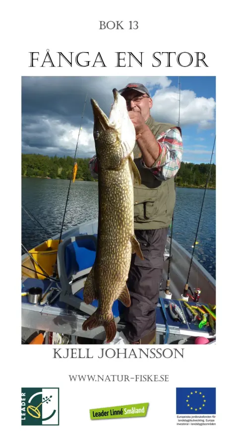 Fånga en Stor – E-bok