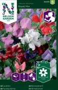 Luktärt Royal, bl.färger. - Lathyrus odoratus
