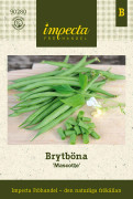Brytböna Mascotte - Phaseolus vulgaris Mascotte