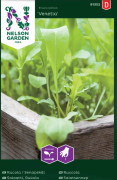 Rucola / Senapskål 'Speedy' frö