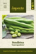 Bondböna Superaguadulce, Ekologisk - Vicia faba Superaguadulce
