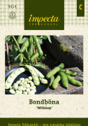 Böna, Bond-, Witkiem - Vicia faba Witkiem