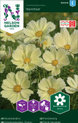 Rosenskära, Xanthos