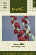 Bärmålla, Strawberry Sticks - Chenopodium foliosum Strawberry Sticks
