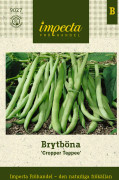 Brytböna Cropper Teepee - Phaseolus vulgaris Cropper Teepee