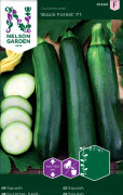  Squash Kläng- Black Forest F1(Pgf)