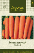 Morot Sommar Nantes 2 - Daucus carota subsp. sativus Nantes 2
