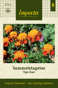 Tagetes, Sammets-, Tiger Eyes