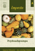 Prydnadspumpa - Cucurbita pepo (Prydnadspumpa-gr.)