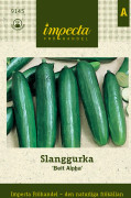 Slanggurka Beit Alpha - Cucumis sativus (Slanggurka-gr.) Beit Alpha