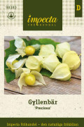 Gyllenbär, Preciosa - Physalis grisea Preciosa