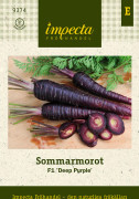 Morot Sommar Deep Purple F1 - Daucus carota subsp. sativus Deep Purple F1