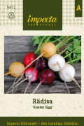 Rädisa Easter Egg - Raphanus sativus (Rädisa-gr.) Easter Egg