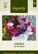 Luktärt, Dvärg- Jet Set Mixed - Lathyrus odoratus Jet set Mixed