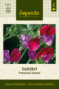 Luktärt Franciscus Cupani - Lathyrus odoratus Franciscus Cupani
