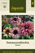 Rudbeckia, Sommar-, Sahara