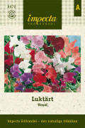 Luktärt Royal - Lathyrus odoratus Royal