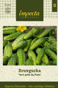 Druvgurka Vert Petit de Paris - Cucumis sativus Vert Petit de Paris