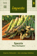 Sparris, Mary Washington - Asparagus officinalis Mary Washington