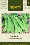 Sockerärt Carouby de Maussane - Pisum sativum (Sockerärt-gr.) Carouby de Maussane