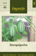 Djungelgurka - Melothria scabra