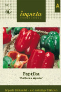 Paprika California Wonder - Capsicum annuum California Wonder