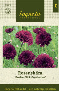Rosenskära, Double Click Cranberries