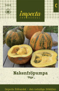 Pumpa, Nakenfrö-, Olga - Cucurbita pepo (Styriaca-gr.) Olga