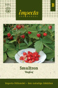 Smultron, Regina - Fragaria vesca Regina
