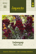 Lejongap, Black Prince, Ekologisk