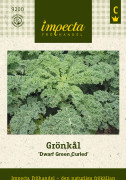 Grönkål Dwarf Green Curled - Brassica oleracea Dwarf Green Curled