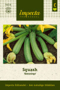 Squash, Genovese, Ekologisk - Cucurbita pepo Genovese