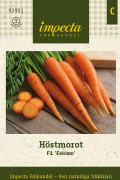 Morot Höst Eskimo F1 - Daucus carota Eskimo