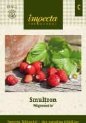 Smultron, Mignonette - Fragaria vesca var. sempeflorens Mignonette